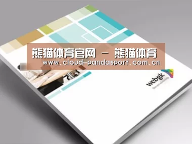 项目名称九