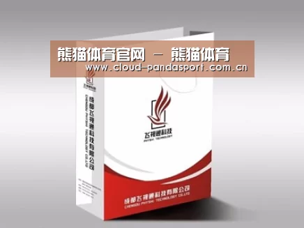 项目名称十三