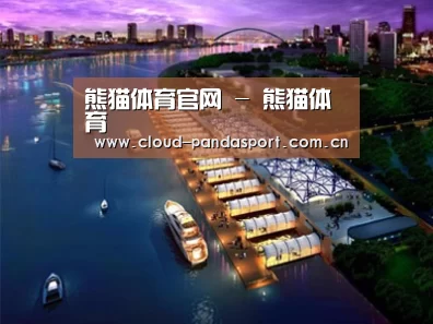 案例展示八