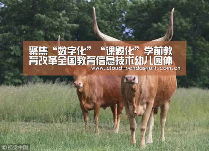 熊猫体育