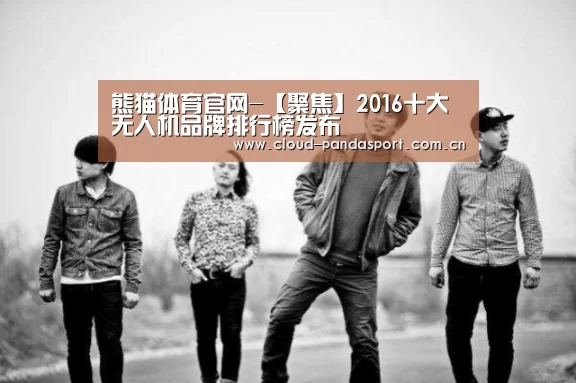 熊猫体育官网-【聚焦】2016十大无人机品牌排行榜发布(图2) 熊猫体育官网