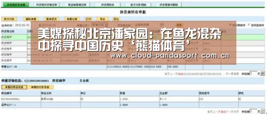 实时比分