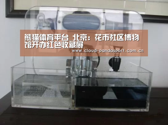 实时比分
