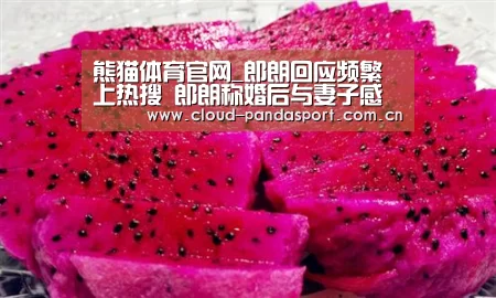 熊猫体育平台